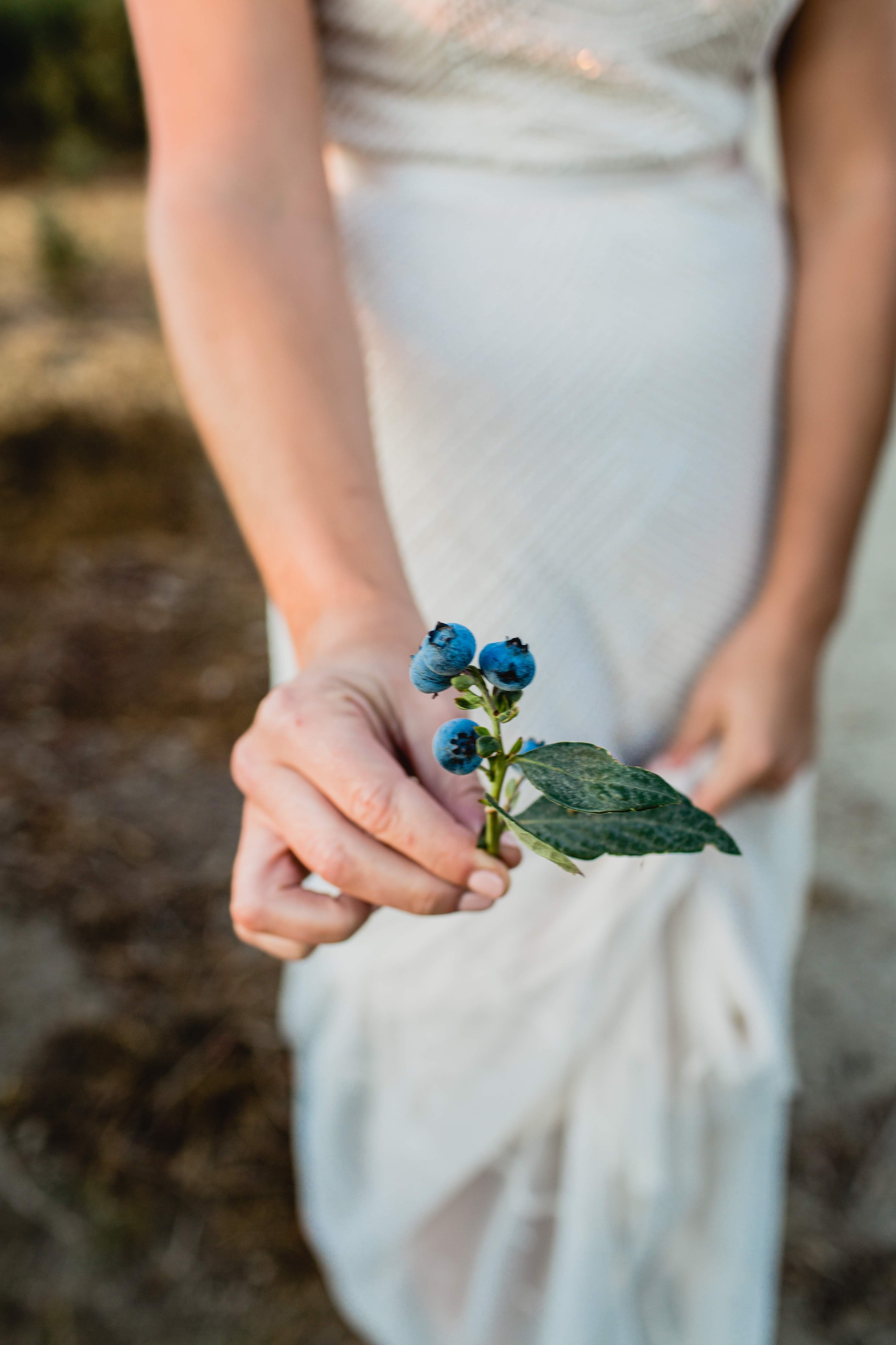 Geldings wallachebig valley ranch horses for sale