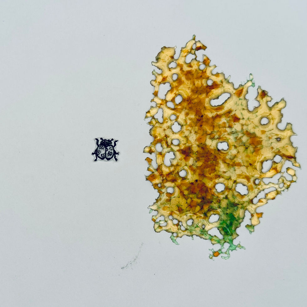Thumbnail: Lace