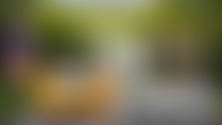 "STAY IN YOUR NEIL LANE!" w/ Paget Brewster and Lauren Lapkus