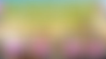 "BIG ANNOUNCEMENT FOR LIVE SHOW!" w/  Arden and Dr. Banana