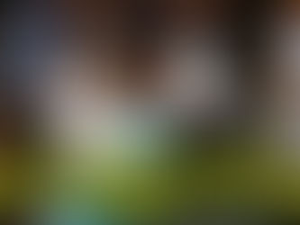 "THE GATCH WEDDING!" w/ Our friend Whitney