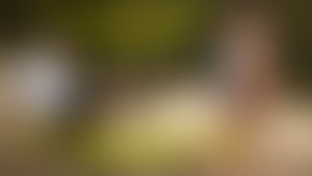 "Put a Shrimp on the Barbie!" w/ Arden