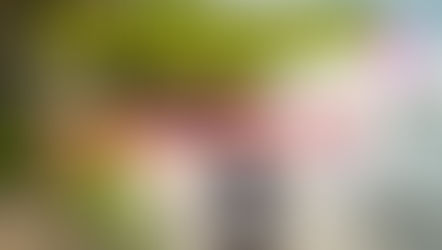 "WE NEED TO TALK ABOUT MEOW!" w/ Bryan Safi