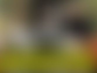 "MY INNER CHILD IS REALLY F'ED" W/ Wells Adams and Steve Hytner