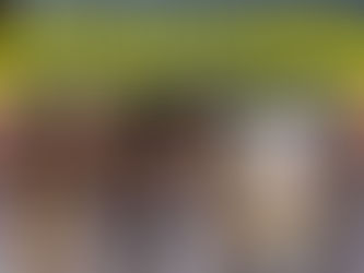 "IN THE FEELZZZ!" w/ Lauren Lapkus, Scott Aukerman, and Ronna Glickman