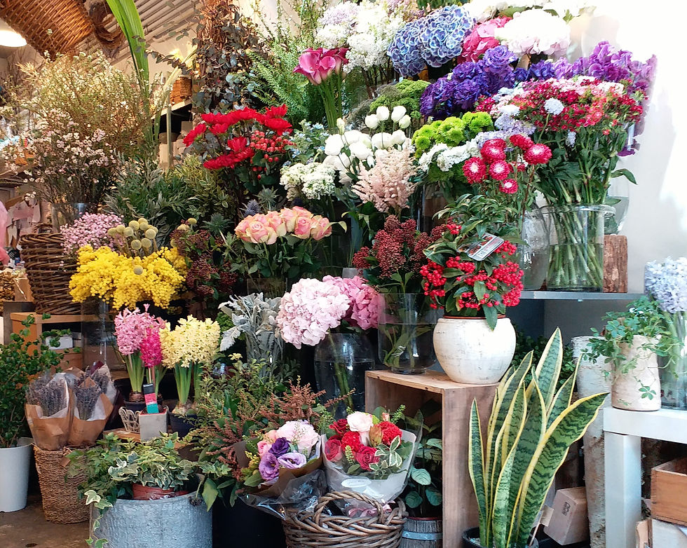jack's flowers