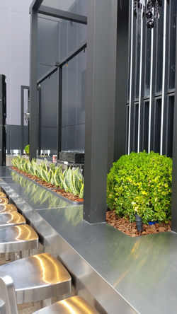 Plants Arrangement