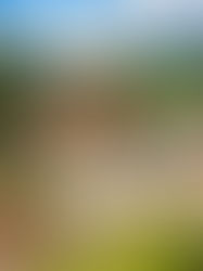 RS ganha novo espaço que une cervejaria, restaurante e pub com olhar atento à tradição germânica 