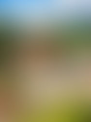 RS ganha novo espaço que une cervejaria, restaurante e pub com olhar atento à tradição germânica 