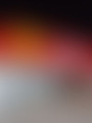 Principal Holding varejista do Rio Grande do Sul inaugura nova loja e foca em expansão