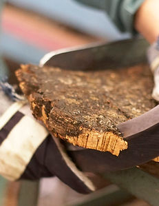 Kork Biork Rohschnitt