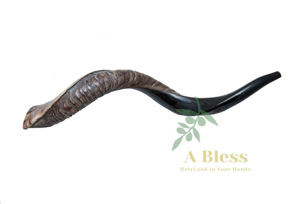 Yemenite Shofar Horn
