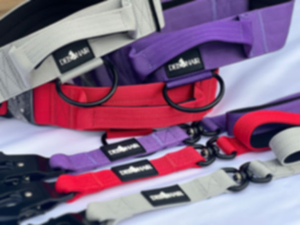 Tactical Collar & Leash Set