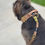 Thumbnail: Signature Collection Tactical Collar & Leash Set