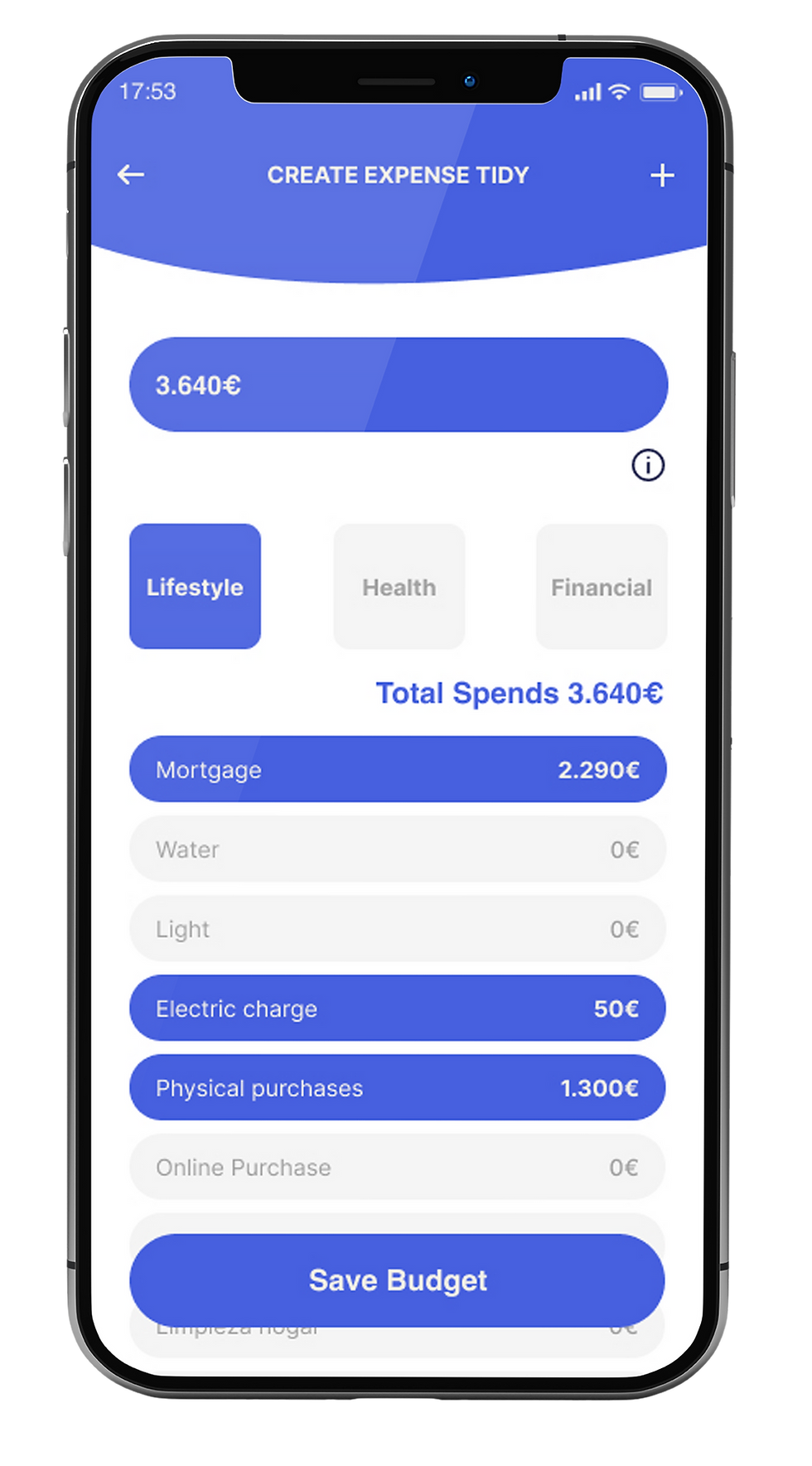 Create a detailed budget by categories