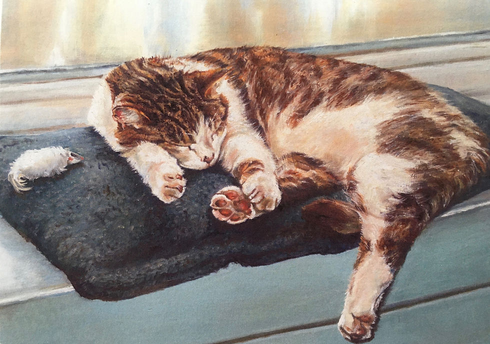 Thumbnail: 'Animal' pack of greetings cards