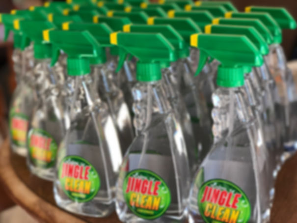 Jingle Clean spray bottle photo
