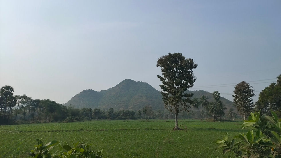 IMG20210113142047_03