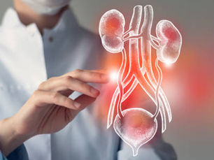 এন্ডো-ইউরোলজিঃ