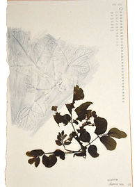 p87.201.jpg