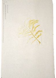 p87.208.jpg