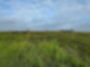 DF017E10-C58B-4C37-9745-A0CC77C76EB4.jpeg