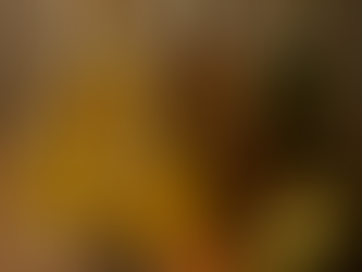 עולם של שמנים - כל מה שרציתן לדעת