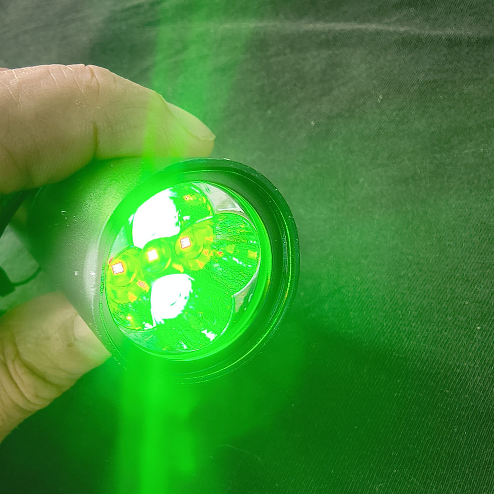 Forest Flashlight shines green and near infrared light