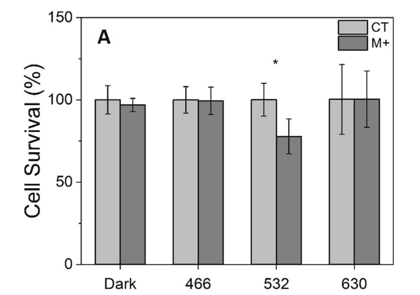 bar graph showing photosensitization of melanin by 532 nm green rprevents the growth of melanoma in C57BL6 mice compared to other light environments