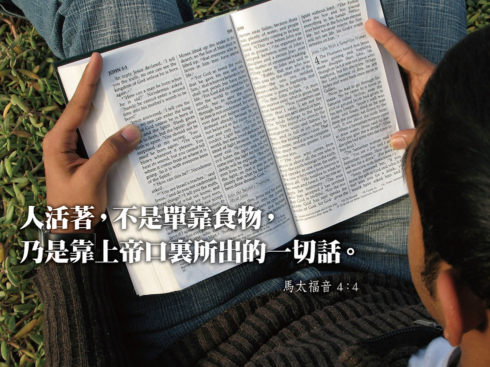永無休止的誘惑(二)