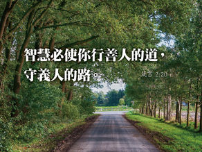 大使命