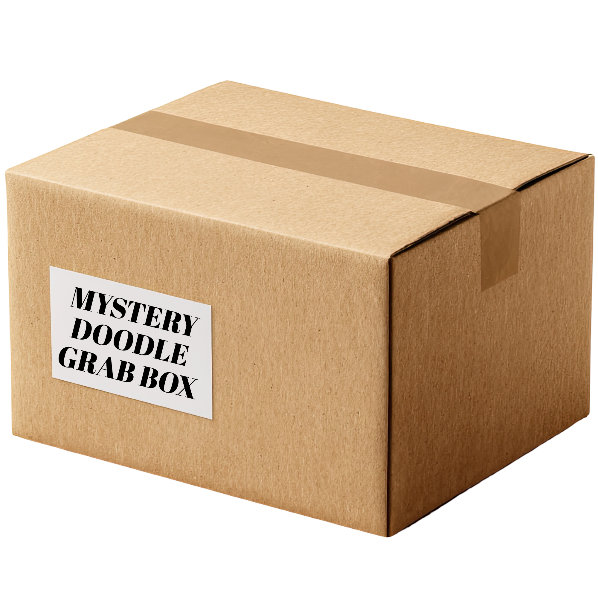 Mystery Doodle Grab Box
