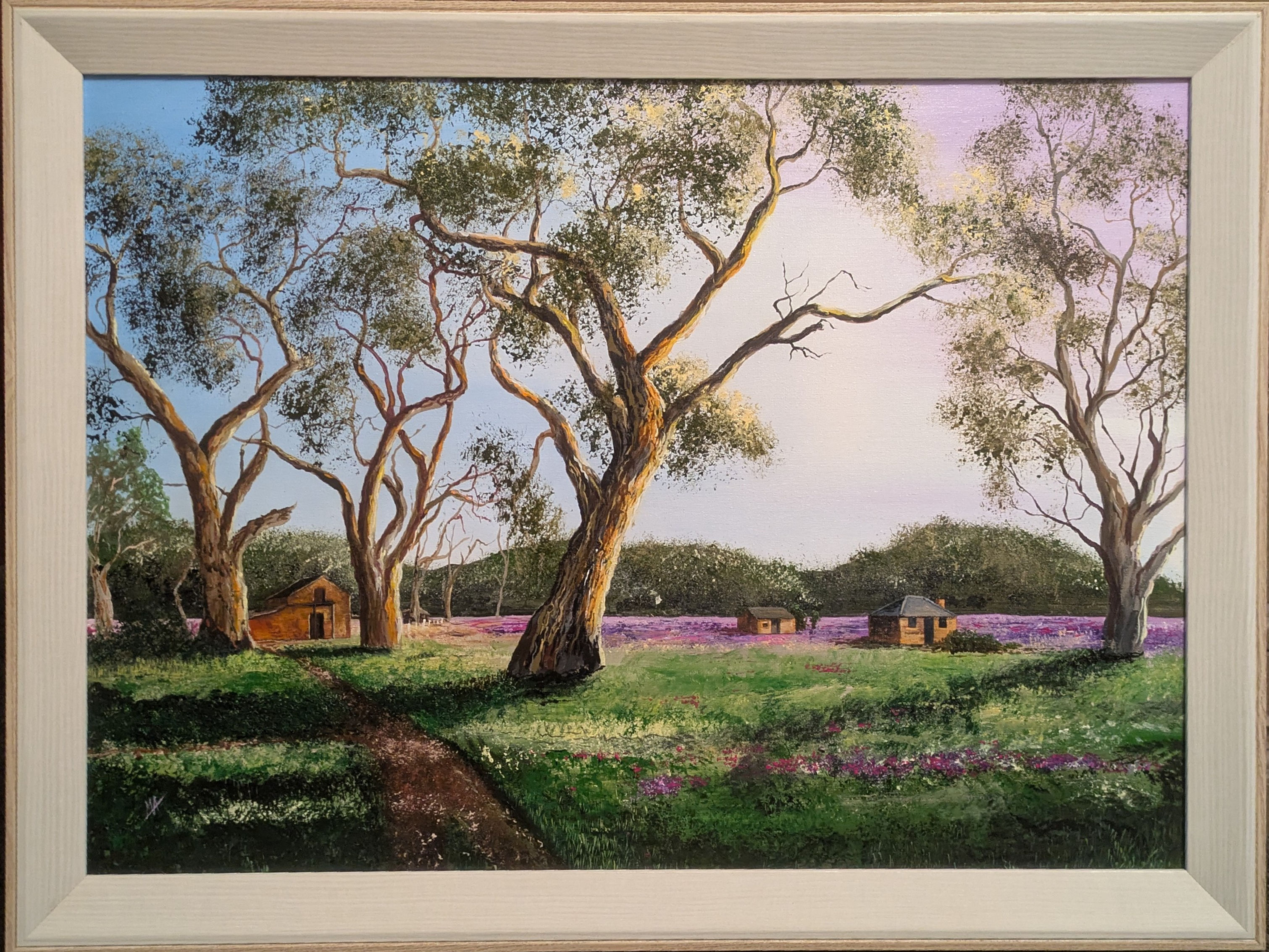Paterson's Curse - Fields of purple