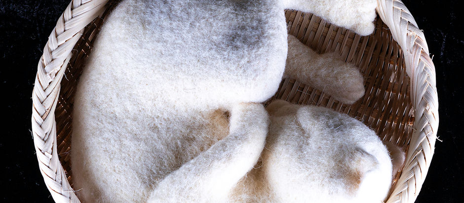 Title:Peace Year:2024 Media: Wool Fiber,Bamboo Basket Dimension:30 round x 16cH (cm) Description  "Peace" was created after I saw a cat sleeping in a basket in front of a showcase of a store in the past.In Japan, sleeping cats are considered a symbol of peace, and a sculpture of one is displayed on the gate of Toshogu Shrine, where Tokugawa Ieyasu, who established the longest-lasting over 250 years peace during the samurai government, rests.How precious peace is is clear when you look at the state of areas hit by war. It is also clear that conflicts and wars cannot be easily ended once they have begun, as is clear when you look at Gaza,Ukraine, and the US, Israel and Iran, which are still not able to finish today. I put my prayer for peace into the sleeping cat.