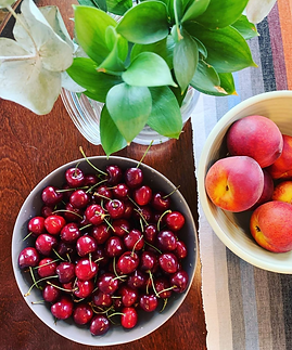 Screen Shot 2023-01-08 at 9.51.48 AM.png