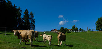 kurhotel-badzell-philippfroehlich-johannesweg-schoenauimmuehlkreis.jpg