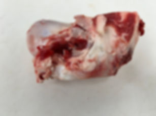 Small dog bone