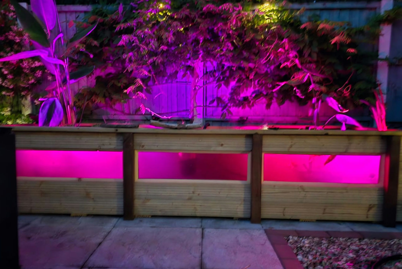 Margaret's Custom Garden Pond with Viewing Window