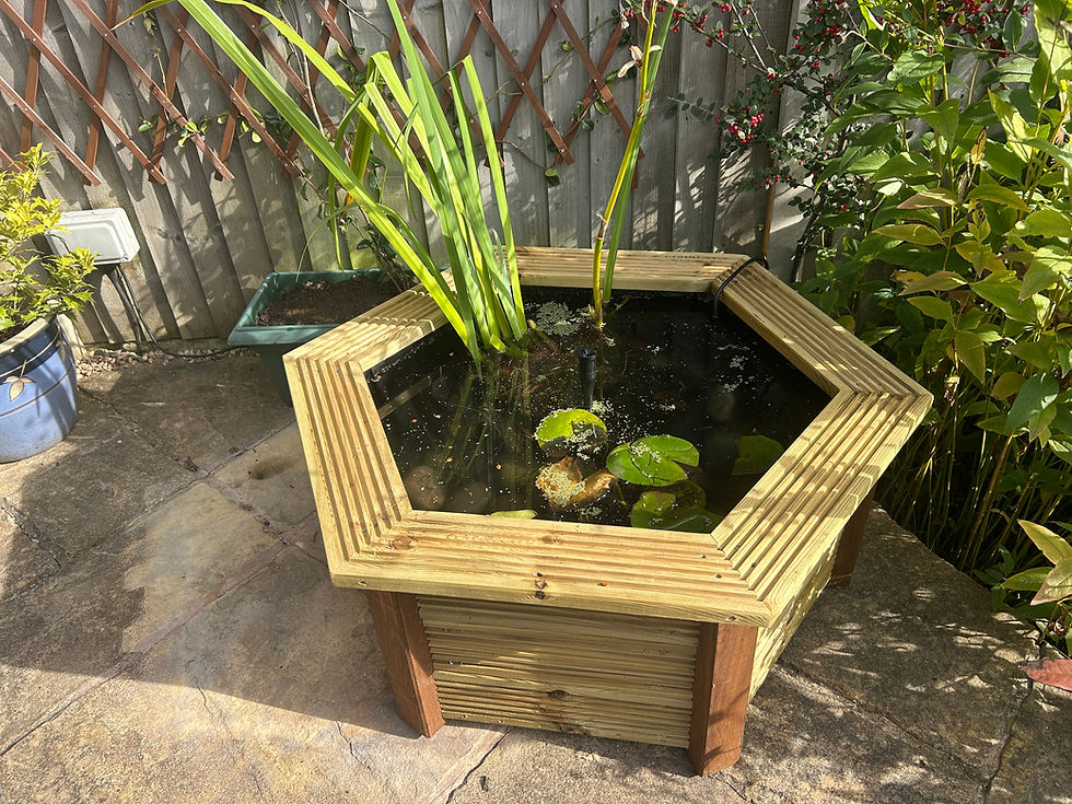 Thumbnail: Hexagonal Pond w/ Bench Top 105x91x42 cm