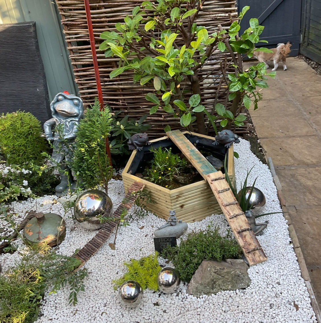 Simple & Stylish Hexagonal Aquatic Planter 65x57x27h cm