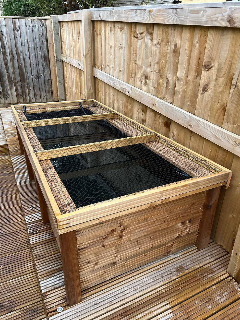 Thumbnail: long rectangular garden pond with customer's mesh cover alternative angle