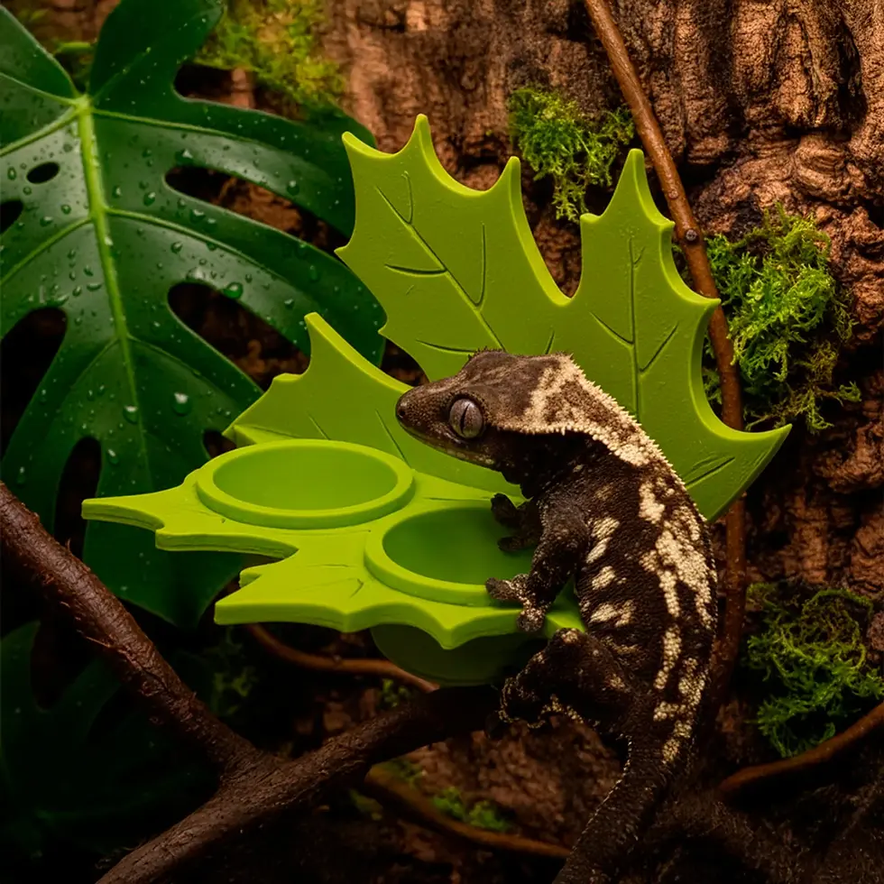 Miniatura: Comedero Hoja De Arce