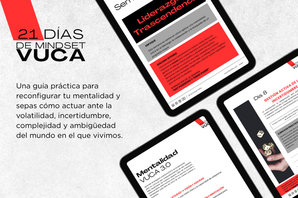ebook vuca ejercicios