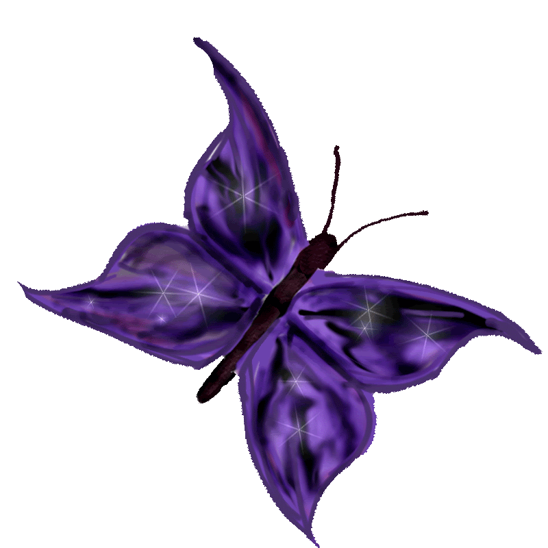 mariposa.gif