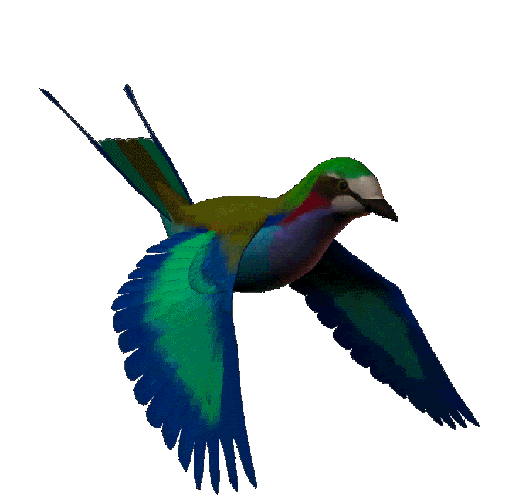 bird-animated-gif-ck.gif