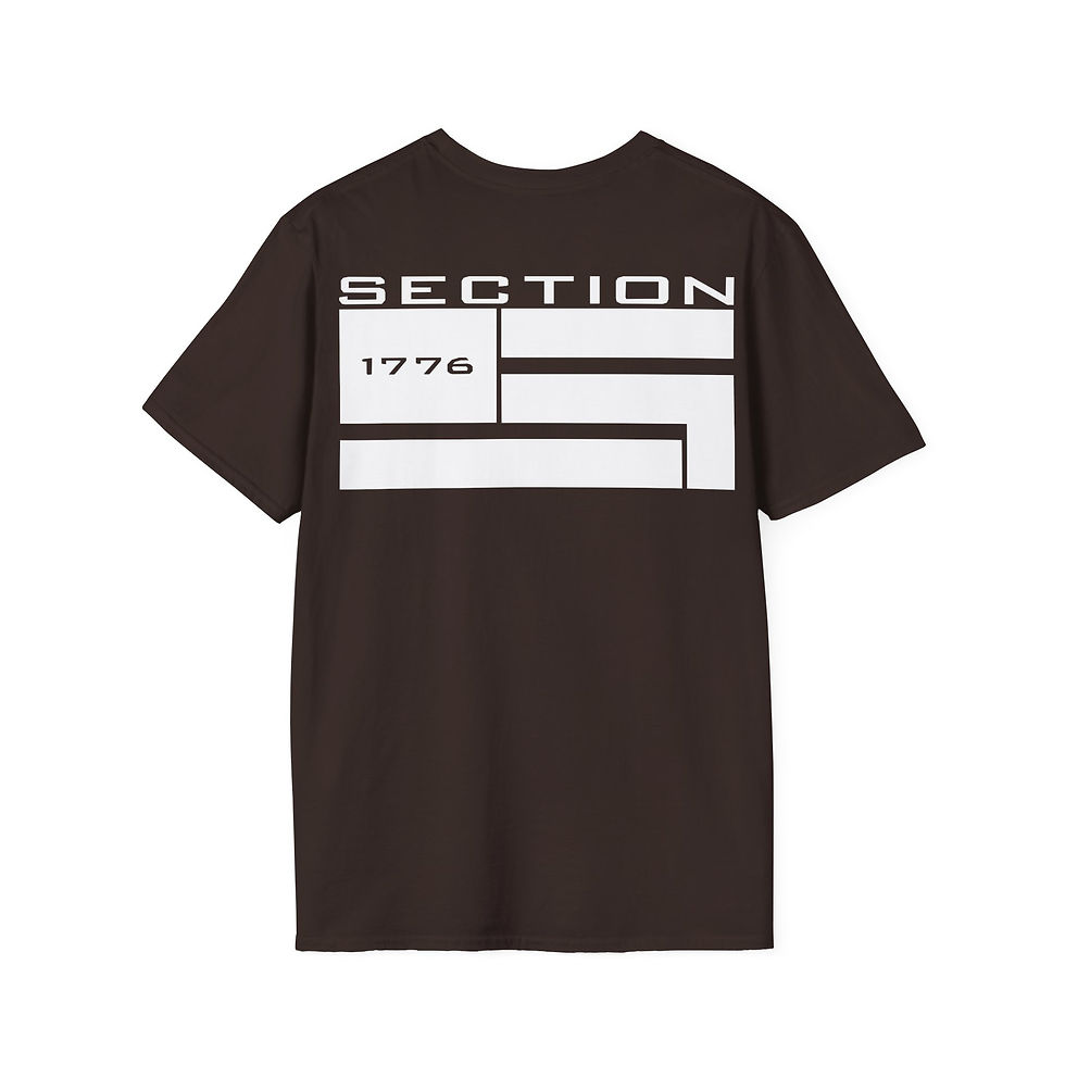 Thumbnail: Brown t-shirt, back view, SECTION 1776 print