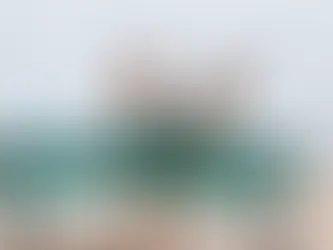 An Open Letter From Your Lost Furry Friend