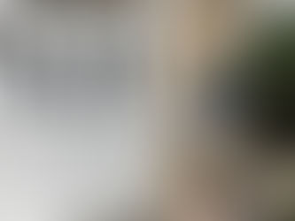 Comment choisir sa motorisation de portail