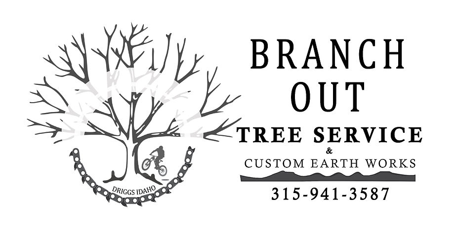 Branch Out Tree Service Logo includes a tree and a mountain biker. It has the phone number and a pump track.