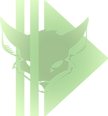 DigitalFox, Webmaster à Pau, création de site internet one-page, vitrine et boutique en ligne, référencement naturel SEO,